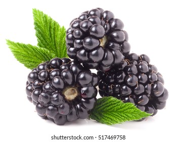 three blackberry with leaf isolated on a white background closeup