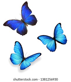 Three Blue Butterflies Isolated On White Stock Photo 1381256930 ...