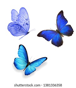 Three Blue Butterflies Isolated On White Stock Photo 1381336361 ...