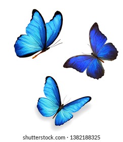 Three Blue Butterflies Isolated On White Stock Illustration 130242416