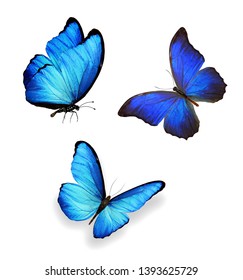 Three Blue Butterflies Isolated On White Stock Illustration 130242416