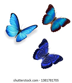 Three Blue Butterflies Isolated On White Stock Photo (Edit Now) 1381336367