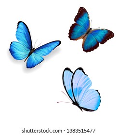 Three Blue Butterflies Isolated On White Stock Illustration 130242416