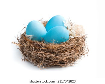 Three blue eggs in a nest isolated on a white background. Side view, close-up. Easter concept, Easter eggs.