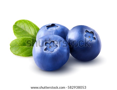 Three blueberries. Berry isolated with leaves on white background. Clipping path. Close up. Macro.