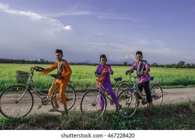 Three Boy With Bicycles At Paddy Field At Parit Penghulu, Sungai Rambai, Melaka During Blue Sky