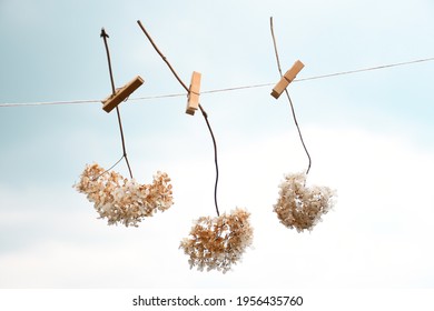 Three branches of dry hydrangea flowers, weigh on a rope against the sky, drying flowers. Natural background. Floral texture, poster.
Set a trend in the color of champagne. Selective focus - Powered by Shutterstock