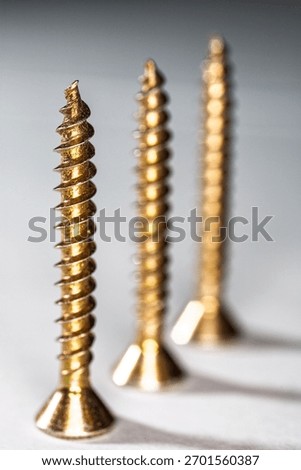 Three brass screws stand vertically on their heads, with the foremost screw in sharp focus while the others fade into the background.