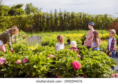 Three Brathers Choosing Seedlings In Pot At Garden Shop