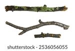 Three broken wooden branches with moss isolated on white, clipping path,