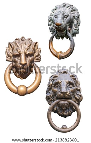 three bronze sculptures of a lion with a menacing look in the form of door handles. The concept of strength, power. Isolated on white background