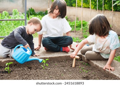 Three brothers watering and planting bell pepper sprouts in the vegetable garden.   - Powered by Shutterstock