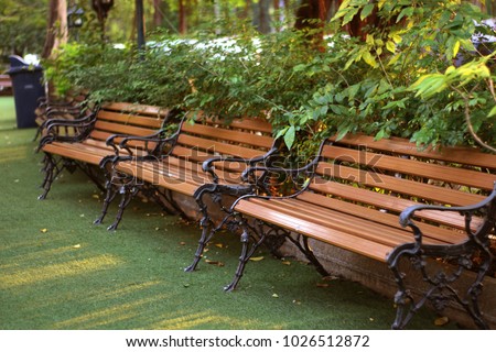 Three brown backrest chairs in a green natural garden. Sit comfortably in soft sunlight 