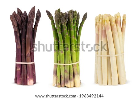 Three bunches of different fresh asparagus isolated on white. Purple white and green asparagus. Fresh vegetables.