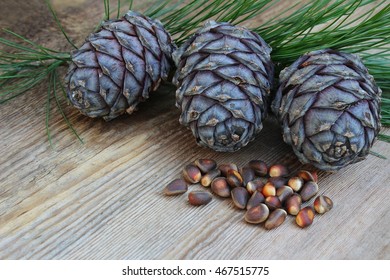 Three cedar cones, cedar branch and cedar nut on an old wooden background