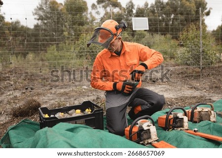 Three chainsaws are resting on green tarp in fenced eucalyptus worksite with crate of fuel bottles. Forestry, safety, equipment, outdoor, maintenance, industrial, rugged