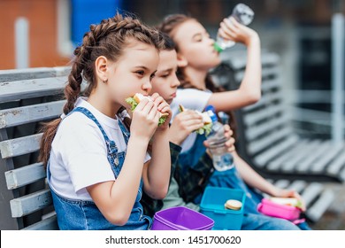 Three Child Eat, Appetizing School Lunch. Healthy School Lunch: Apple, Juice, Hamburger, Vegetable,after Education..