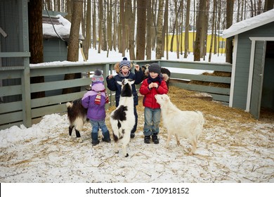 Three children feed goats with bread inside fold on winter day.
