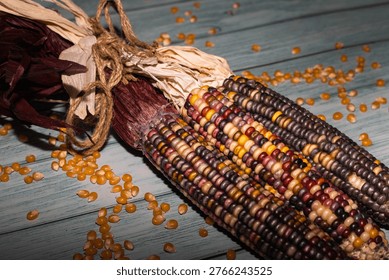 Three cobs of multicolored flint corn, also known as Indian corn or calico corn, display a variety of vibrant kernel colors including purple, yellow, orange, red, and black, on a rustic blue wooden background with scattered loose kernels.