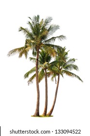 Three coconut palm trees isolated on white background - Shutterstock ID 133094522