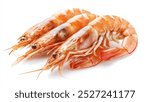 Three Cooked Prawns on a White Background