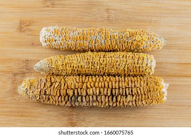 three corn cobs dried, vegetables lie in parallel on a wooden cutting board
