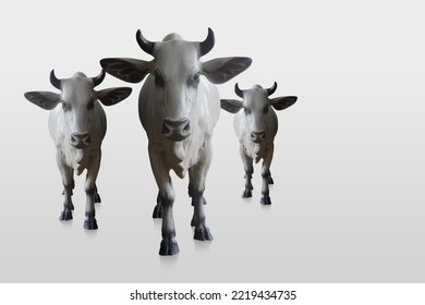 Three Cows, White And Black Color One Big And Two Small Cows Are Standing And Looking Forward On White Background, Animal, Object, Decor, Copy Space