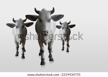 three cows, white and black color one big and two small cows are standing and looking forward on white background, animal, object, decor, copy space