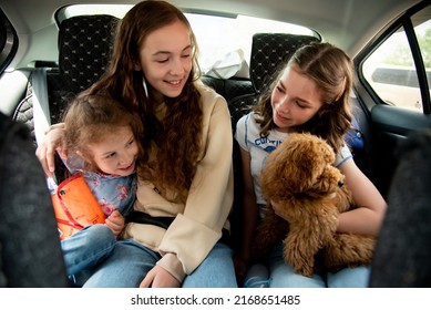 Three Cute Girls And A Dog Of Toy Poodle Breed In A Car On The Back Seat. They Go Traveling With Their Parents. Family. Summer. Vacation.