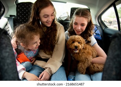 Three Cute Girls And A Dog Of Toy Poodle Breed In A Car On The Back Seat. They Go Traveling With Their Parents. Family. Summer. Vacation.