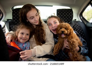 Three Cute Girls And A Dog Of Toy Poodle Breed In A Car On The Back Seat. They Go Traveling With Their Parents. Family. Summer. Vacation.