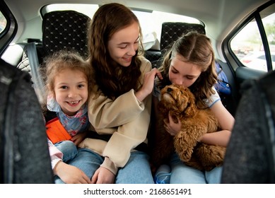 Three Cute Girls And A Dog Of Toy Poodle Breed In A Car On The Back Seat. They Go Traveling With Their Parents. Family. Summer. Vacation.