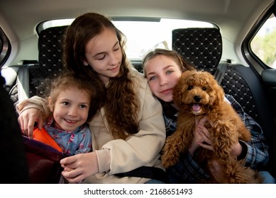 Three Cute Girls And A Dog Of Toy Poodle Breed In A Car On The Back Seat. They Go Traveling With Their Parents. Family. Summer. Vacation.