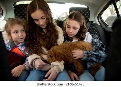 Three Cute Girls And A Dog Of Toy Poodle Breed In A Car On The Back Seat. They Go Traveling With Their Parents. Family. Summer. Vacation.