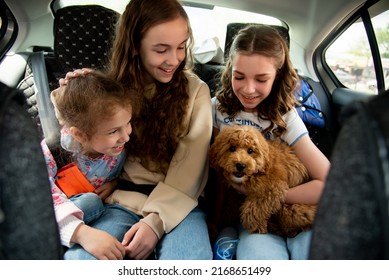 Three Cute Girls And A Dog Of Toy Poodle Breed In A Car On The Back Seat. They Go Traveling With Their Parents. Family. Summer. Vacation.