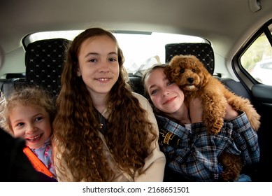 Three Cute Girls And A Dog Of Toy Poodle Breed In A Car On The Back Seat. They Go Traveling With Their Parents. Family. Summer. Vacation.