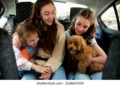 Three Cute Girls And A Dog Of Toy Poodle Breed In A Car On The Back Seat. They Go Traveling With Their Parents. Family. Summer. Vacation.