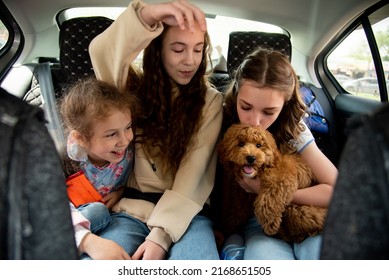 Three Cute Girls And A Dog Of Toy Poodle Breed In A Car On The Back Seat. They Go Traveling With Their Parents. Family. Summer. Vacation.