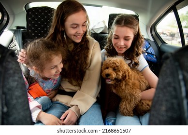 Three Cute Girls And A Dog Of Toy Poodle Breed In A Car On The Back Seat. They Go Traveling With Their Parents. Family. Summer. Vacation.