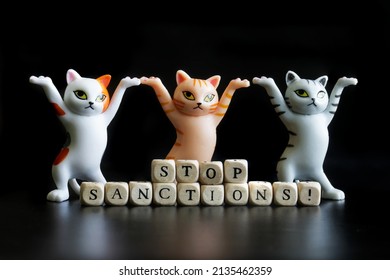 Three cute kittens rally against sanctions against ordinary citizens. Stop sanctions! Give stockers and contributors the opportunity to work and earn. Black background