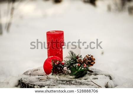 Similar – Image, Stock Photo Advent in the forest…