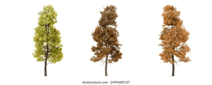 Three different colored miniature model trees isolated on a black background for architectural models and miniature scenes.