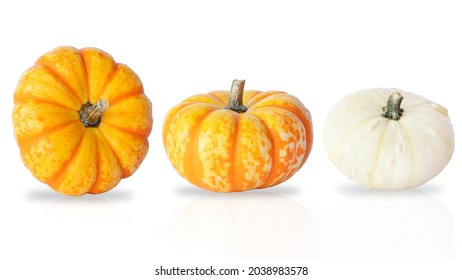 Three different pumpkins isolated on white background 