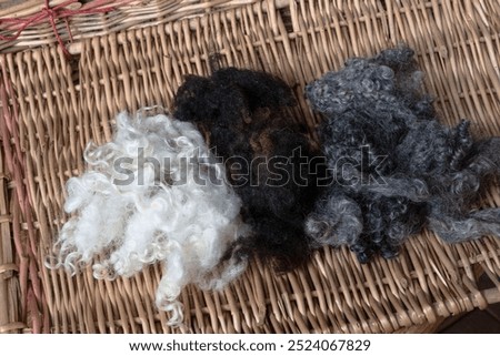 Three different samples of washed raw wool from different breeds of sheep lie on a wicker basket.
