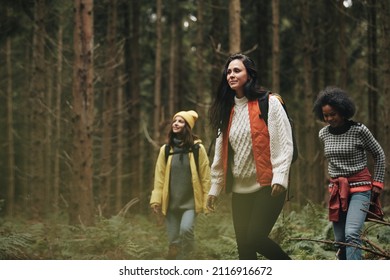 Three diverse young women in outdoor gear walking on a trail together through a dense forest - Shutterstock ID 2116916672