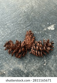 Three dry brown pine cones grouped together on a textured gray stone surface, shot from a top-down view.