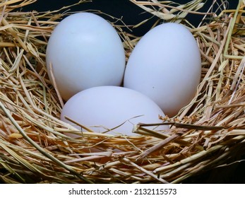 Three Duck Eggs On A Straw