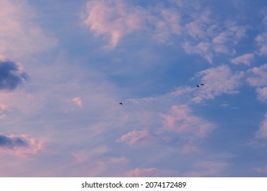 31,582 Duck cloud Images, Stock Photos & Vectors | Shutterstock