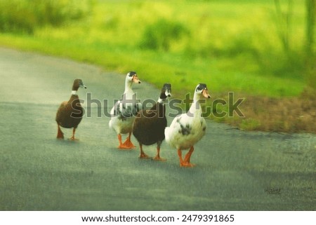 Three ducks in a row crossing the road together