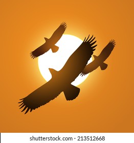 Eagle Sunset Images, Stock Photos & Vectors | Shutterstock